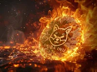 SHIB Burns Skyrocket 1,664% Thanks to Big Whale – 250 Million SHIB Gone - whale, big, shib