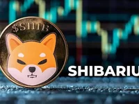 SHIB Price Breaks Out Despite Shibarium’s 88.24% Key Metric Plunge - key, shib