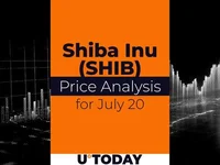 SHIB Price Prediction for July 20 - shib, test