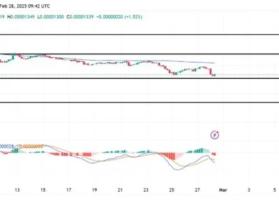 Shiba Inu Bears Roar: Will SHIB Hit $0.00001272 Amid Market Sell-Off? - shib, Crypto, shiba inu, NewsBTC, level