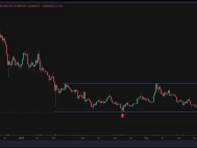 Shiba Inu Breakout Incoming? Bullish Setup Hints At Big Jump, Experts Say - whale, Crypto, tucker, shiba inu, shiba, may, NewsBTC, inu, shib