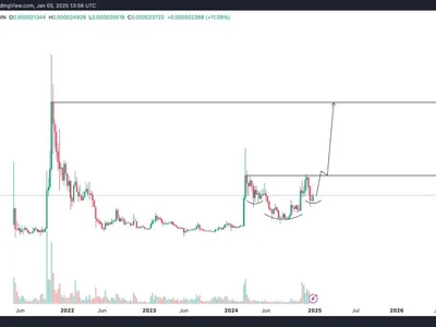 Shiba Inu Builds Momentum: ‘Monster’ Price Move Coming—Analyst - shib, Crypto, dogecoin, shiba, ethereum, NewsBTC, inu, shiba inu