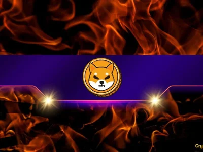 Shiba Inu Burn Rate Explodes by Over 7,000%: Is the SHIB Price Ready to Take off? - second, shiba inu, america, rally, dogecoin, lucky, shib, CryptoPotato, doge, sec, coin, meme, Crypto