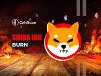 Shiba Inu Burn Rate Surges 1300%, Will This Trigger a SHIB Price Rally? - shib, burn