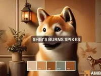 Shiba Inu burns rise, but this is why SHIB remains below crucial levels - shiba, shib, burns, inu