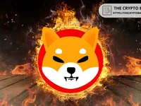 Shiba Inu Community Burns 2,378,422,108 SHIB in September as Monthly Burn Rate Spikes 249%  - shiba, inu, burn, shiba inu, shib