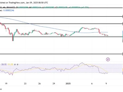 Shiba Inu Grapples With Heavy Bearish Forces: Will Support Levels Hold? - NewsBTC, inu, shiba inu, shiba, Crypto, shib