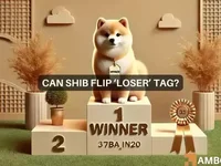 Shiba Inu in trouble: Is a comeback possible after a 12% plunge? - shiba inu, inu, chain, shiba