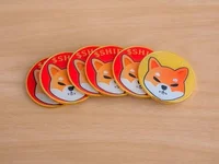 Shiba Inu Lead Developer Shytoshi Kusama May Finally Reveal Their Identity, Pens A Cryptic Post - kusama, shib, shiba