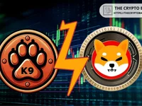 Shiba Inu Lead Says Shiba Eternity Not Part of K9 Ecosystem - shiba, inu