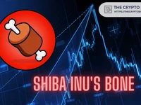 Shiba Inu Lead Under Fire as BONE Tanks 68% - inu, bone, shiba, tanks