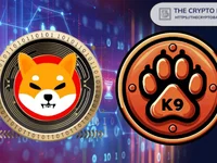 Shiba Inu Partner K9 Finance Achieves ‘Amazing’ Milestone: Details - shiba, inu