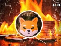 Shiba Inu (SHIB) Burn Rate Shoots 33,818%, What's Going On? - shiba, moon, shib, inu