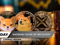 Shiba Inu (SHIB) Explosion Incoming? 3 Dogecoin (DOGE)  Price Levels to Watch Ahead of Reversal, XRP Recovery Attempt Started - xrp, doge