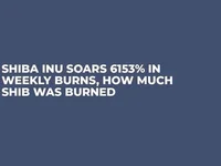 Shiba Inu Soars 6153% in Weekly Burns, How Much SHIB Was Burned - shib, shiba