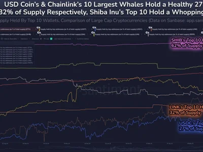 Shiba Inu Supply Most Centralized Among Top Coinsâ62% Held By Just 10 Whales - uniswap, usdc, whales, one, NewsBTC, chainlink, inu, pepe, ten, usdt, dai, shiba, ethereum, Crypto, shib, shiba inu, eth