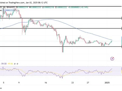 Shiba Inu Targets Fresh Highs As SHIB Undergo A Rebound At $0.00002045 - level, NewsBTC, shib, Crypto, shiba inu