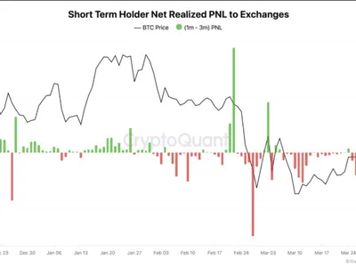 Shifting Sentiment? Short-Term Bitcoin Holders Stay Put Despite Losses - bitcoin, Crypto, term, btc, NewsBTC
