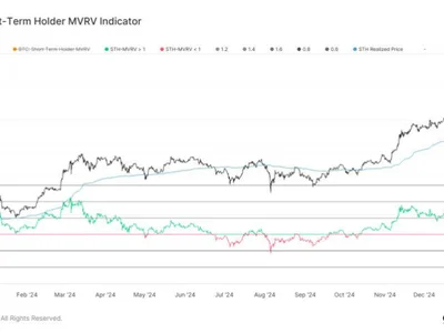 Short-Term Bitcoin Holders See 10% Profit – Potential Impact On Price? - ratio, NewsBTC, bitcoin, Crypto