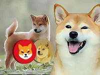 Shytoshi Kusama Signals Upcoming Developments for Shiba Inu Ecosystem - kusama, treat, shiba, inu, shiba inu