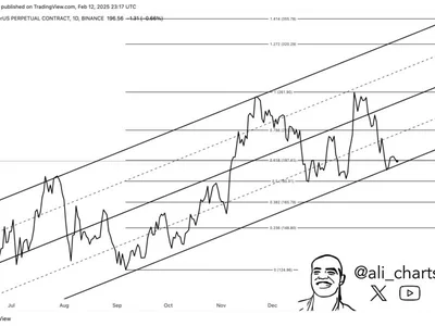 Solana Bulls Eye $260 As Key Support Holds, Says Crypto Analyst - NewsBTC, sol, bitcoin, solana, chart, Crypto, fibonacci