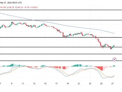 Solana Bulls Push For A Price Recovery Amid Market Volatility - solana, sol, NewsBTC, Crypto