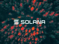 Solana climbs above $200, bitcoin hits new high amid extended post-election rally - high, solana, one