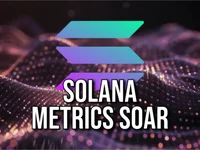 Solana Ecosystem Continues to Gain Market Share from Ethereum - ethereum, dex