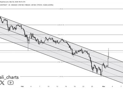 Solana Explodes Out Of Downtrend: How High Can It Go? - NewsBTC, sol, donald trump, fibonacci, one, solana, ftx, vc, second, cardano, Crypto, eth, xrp