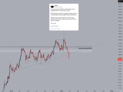 Solana Loses Long-Term Support Level – Analyst Shares Insights - meme, Crypto, solana, NewsBTC, sol