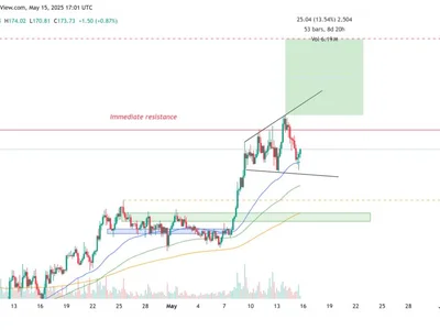 Solana network activity surge and ‘megaphone’ chart pattern set $210 SOL price target - defi, Cointelegraph, Crypto, xrp, second, sol, solana