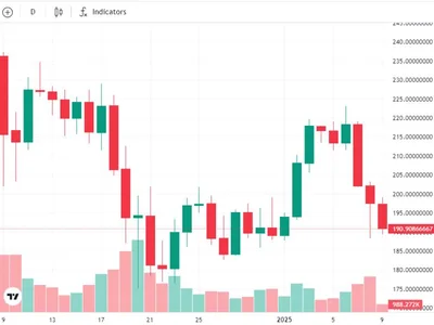 Solana poised for 2025 rally, Fetch.ai launches $10M fund: Finance Redefined - thorchain, Crypto, london, chainlink, fetch.ai, crypto, Cointelegraph, defi, 2024, fideum, virtual, ai, solana, quantum