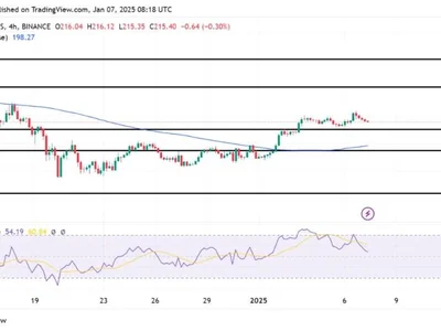 Solana Rally Stalls: Pullback To Key Support Signals Potential Correction - NewsBTC, solana, Crypto