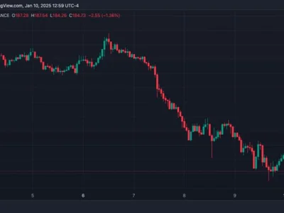 Solana Retest Key Support Level: Is $130 Or $200 Next? - trump, bitcoin, solana, NewsBTC, new year, zone, sol, Crypto