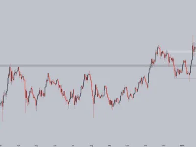 Solana Retraces TRUMP Meme Pump Gains – But Technicals Suggest A $300 Run - NewsBTC, sol, Crypto, trump, solana