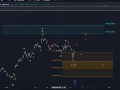 Solana Set For Explosive Growth: Expert Predicts 1650% Price Increase Based On This Pattern - dex, jupiter, raydium, solana, NewsBTC, Crypto, abc