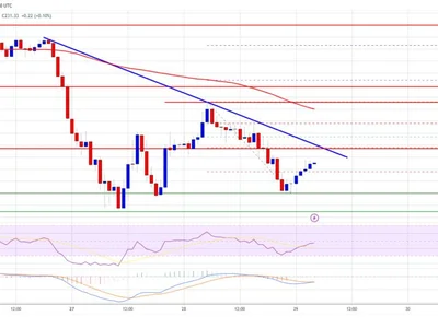 Solana (SOL) at Risk: Could More Losses Be on The Horizon? - solana, sol, NewsBTC, level, horizon, Crypto