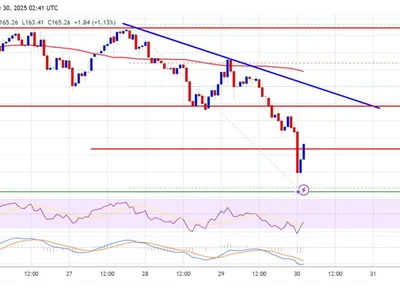 Solana (SOL) Faces Renewed Selling — Will Support Levels Hold? - sol, level, Crypto, solana, NewsBTC
