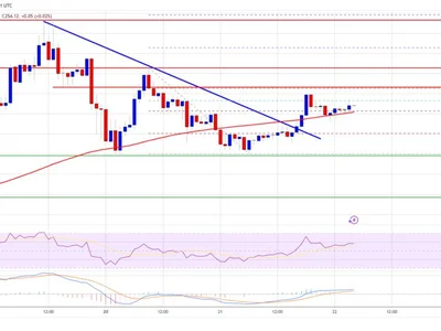 Solana (SOL) Ignites New Momentum: Bulls Target Higher Ground - solana, Crypto, NewsBTC, level, sol, zone