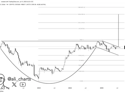 Solana (SOL) Set For Price Run To $2,700 — But This Condition Must Hold - max, sol, NewsBTC, solana, cup, Crypto, fibonacci