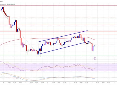 Solana (SOL) Struggles to Rebound—Key Hurdles Blocking Recovery - sol, level, solana, NewsBTC, Crypto