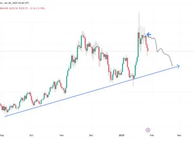 Solana ‘Still Wants Lower’ As Meme Coins Face A Major Shakeout – Analyst - one, Crypto, meme, NewsBTC, solana