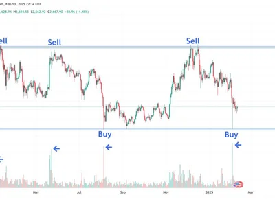  Solana vs Ethereum, a tale of two blockchains — Which will be the victor?  - polygon, Crypto, Cointelegraph, tony, solana, three, eth, sol, dapp, ethereum, uniswap, base, etf, 2024, l2