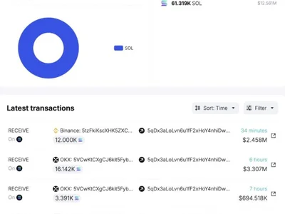 Solana Whale Breaks Silence, Moves Over 61,000 SOL In Massive Accumulation - NewsBTC, solana, Crypto, one, sol, whale