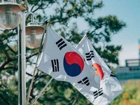 South Korea's Pension Fund Snaps Up Nearly $34M MicroStrategy Shares - mstr, fund, south, shares