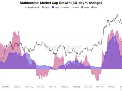 Stablecoins See Positive Momentum: Will This Lead To New Bitcoin All-Time High? - usdt, bitcoin, NewsBTC, Crypto, usdc, caps