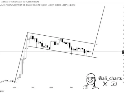 Stellar (XLM) Price Setting Up For Rally To $1.60 – Here Are The Levels To Watch - solana, ada, 2024, donald trump, usa, Crypto, xlm, xrp, ath, cardano, NewsBTC, stellar