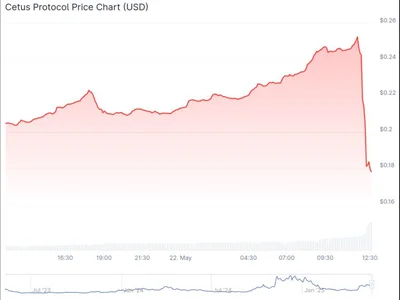 Sui-based token prices plunge amid apparent Cetus Protocol exploit, team investigating - hippo, lofi, ethereum, cetus protocol, dex, sui, The Block, Crypto, eth, cetus, block, usdc