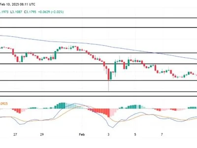 SUI Defies The Odds: Another Comeback From $2.8 Sparks Bullish Run - NewsBTC, Crypto, key, sui