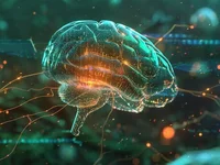 Tether CEO predicts brain implants will be mainstream within 20 years after Blackrock Neurotech breakthrough - tether, brain